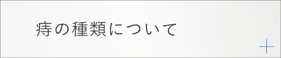 痔の種類について